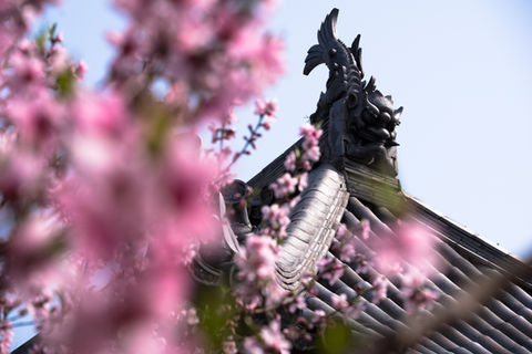 福田寺 境内の様子