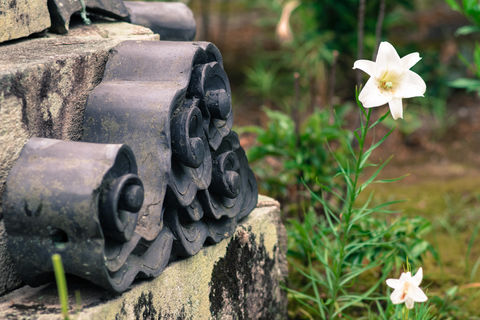 福田寺 境内の様子