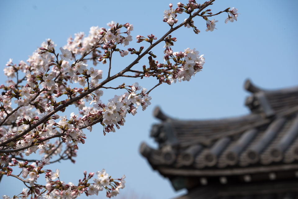 福田寺 境内の様子