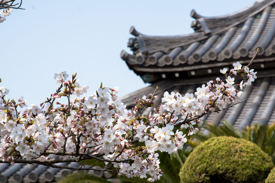 福田寺 境内の様子