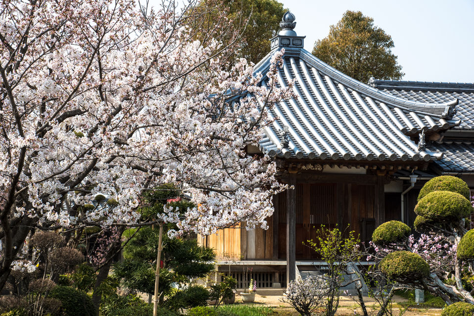 福田寺 境内