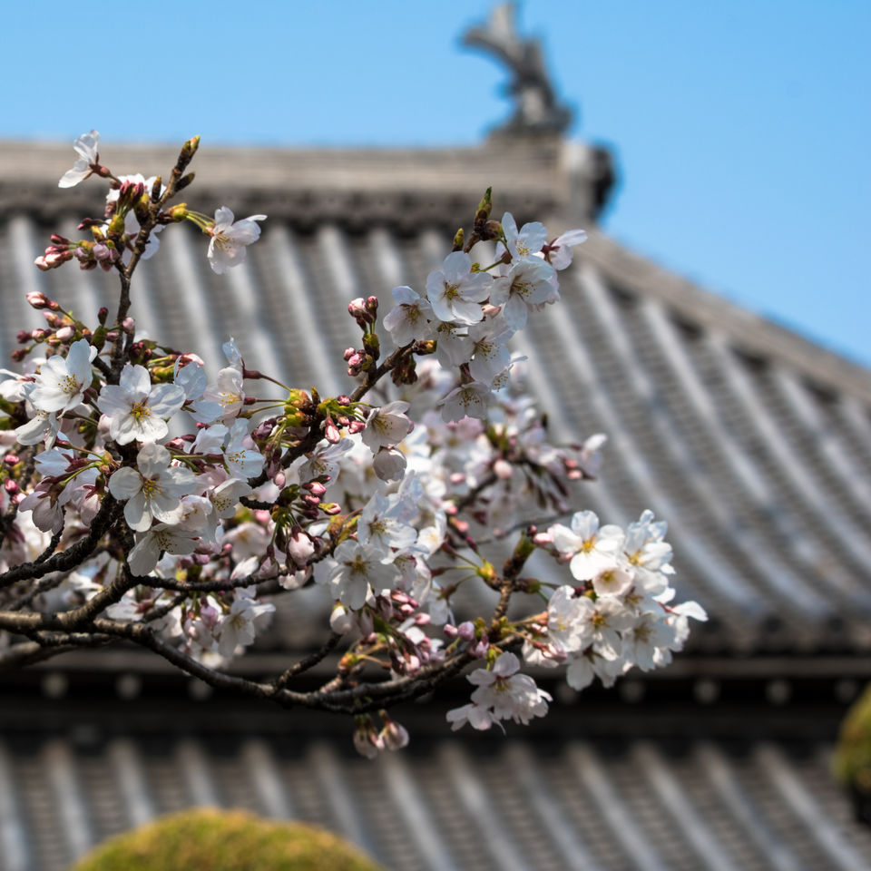 福田寺 境内の様子